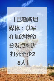 巴勒斯坦媒体：以军在加沙物资分发点附近打死至少28人