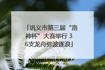 巩义市第三届“洛神杯”大赛举行 36支龙舟劈波逐浪