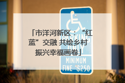 市洋河新区：“红蓝”交融 共绘乡村振兴幸福画卷