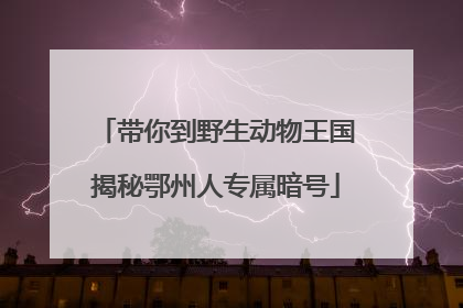 带你到野生动物王国揭秘鄂州人专属暗号