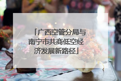 广西空管分局与南宁市共商低空经济发展新路径
