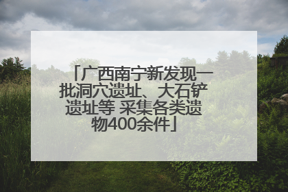 广西南宁新发现一批洞穴遗址、大石铲遗址等 采集各类遗物400余件