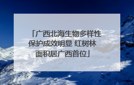 广西北海生物多样性保护成效明显 红树林面积居广西首位
