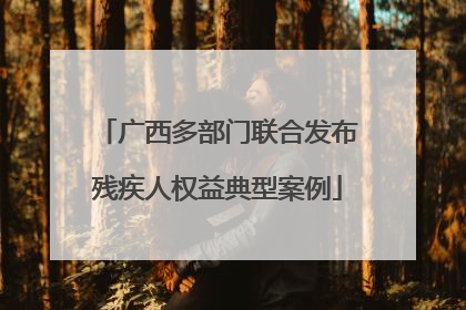 广西多部门联合发布残疾人权益典型案例