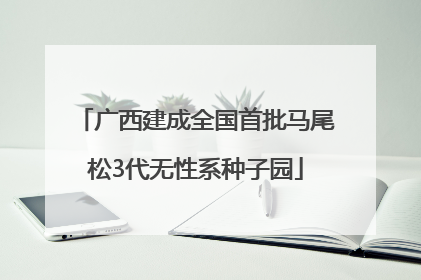 广西建成全国首批马尾松3代无性系种子园