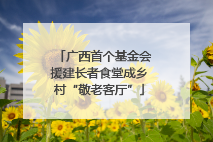 广西首个基金会援建长者食堂成乡村“敬老客厅”