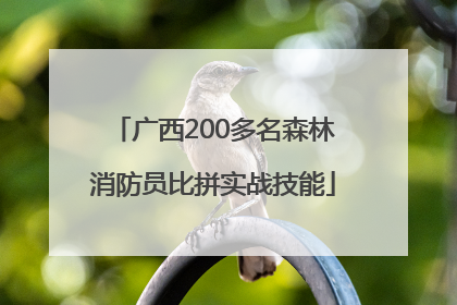 广西200多名森林消防员比拼实战技能