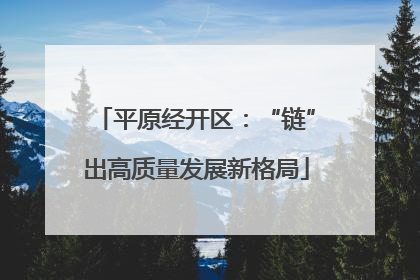 平原经开区：“链”出高质量发展新格局