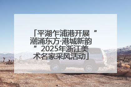平湖乍浦港开展“潮涌东方·港城新韵”2025年浙江美术名家采风活动