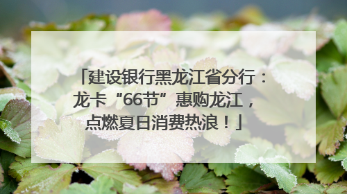 建设银行黑龙江省分行：龙卡“66节”惠购龙江，点燃夏日消费热浪！