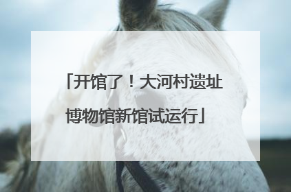 开馆了！大河村遗址博物馆新馆试运行