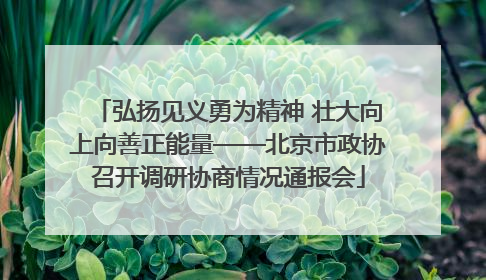 弘扬见义勇为精神 壮大向上向善正能量——北京市政协召开调研协商情况通报会