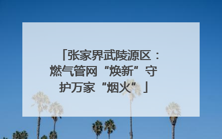 张家界武陵源区：燃气管网“焕新”守护万家“烟火”