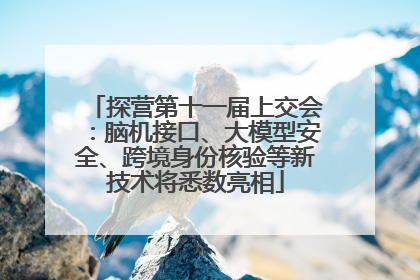 探营第十一届上交会：脑机接口、大模型安全、跨境身份核验等新技术将悉数亮相