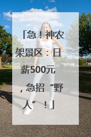 急！神农架景区：日薪500元，急招“野人”！