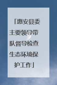 惠安县委主要领导带队督导检查生态环境保护工作