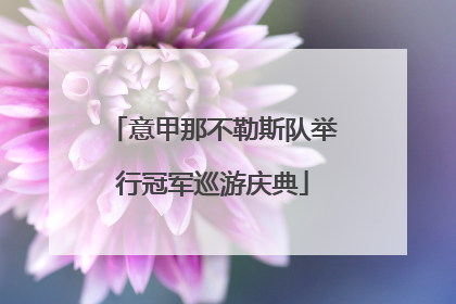 意甲那不勒斯队举行冠军巡游庆典