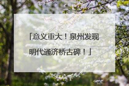 意义重大！泉州发现明代通济桥古碑！