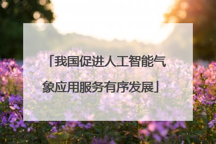 我国促进人工智能气象应用服务有序发展
