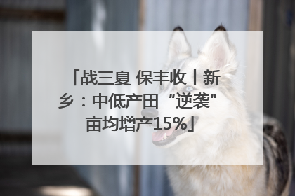 战三夏 保丰收丨新乡：中低产田“逆袭” 亩均增产15%