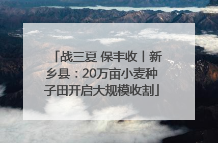 战三夏 保丰收丨新乡县：20万亩小麦种子田开启大规模收割