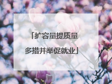 扩容量提质量 多措并举促就业