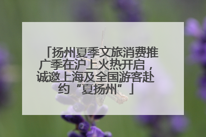 扬州夏季文旅消费推广季在沪上火热开启，诚邀上海及全国游客赴约“夏扬州”