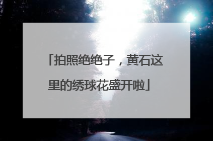 拍照绝绝子，黄石这里的绣球花盛开啦
