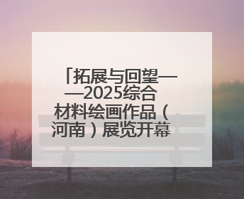 拓展与回望——2025综合材料绘画作品（河南）展览开幕式在郑州美术馆举办