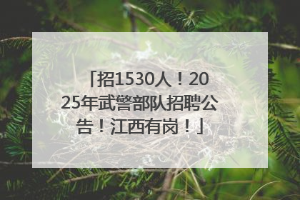 招1530人！2025年武警部队招聘公告！江西有岗！
