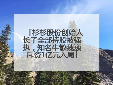 杉杉股份创始人长子全部持股被强执，知名牛散魏巍斥资1亿元入局