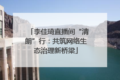 李佳琦直播间“清朗”行：共筑网络生态治理新桥梁