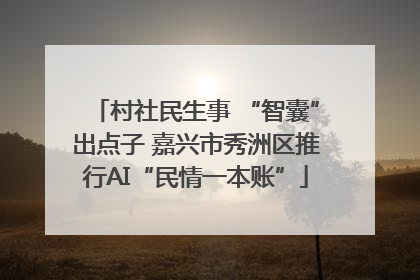 村社民生事 “智囊”出点子 嘉兴市秀洲区推行AI“民情一本账”