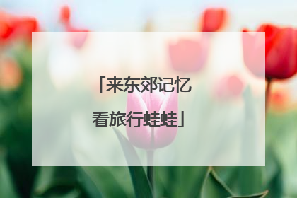 来东郊记忆 看旅行蛙蛙