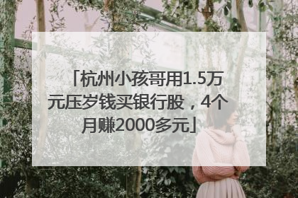 杭州小孩哥用1.5万元压岁钱买银行股，4个月赚2000多元