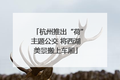 杭州推出“荷”主题公交 将西湖美景搬上车厢