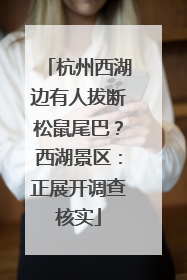 杭州西湖边有人拔断松鼠尾巴？西湖景区：正展开调查核实