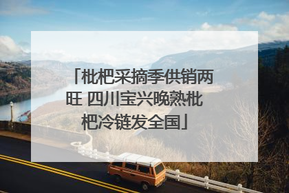 枇杷采摘季供销两旺 四川宝兴晚熟枇杷冷链发全国