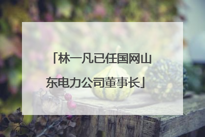 林一凡已任国网山东电力公司董事长