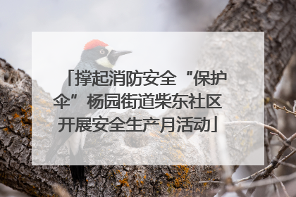撑起消防安全“保护伞”杨园街道柴东社区开展安全生产月活动