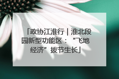 政协江淮行｜淮北段园新型功能区：“飞地经济”拔节生长