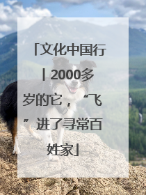 文化中国行丨2000多岁的它，“飞”进了寻常百姓家