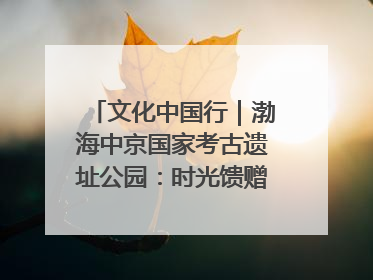 文化中国行｜渤海中京国家考古遗址公园：时光馈赠的宝藏 历史凝固的诗篇