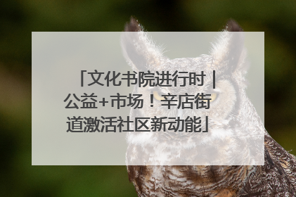 文化书院进行时｜公益+市场！辛店街道激活社区新动能