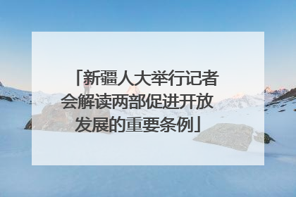 新疆人大举行记者会解读两部促进开放发展的重要条例