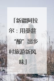 新疆阿拉尔：用桑葚“酿”出乡村旅游新风味