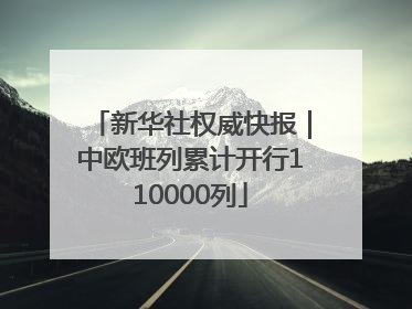 新华社权威快报｜中欧班列累计开行110000列