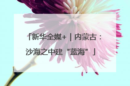 新华全媒+｜内蒙古：沙海之中建“蓝海”