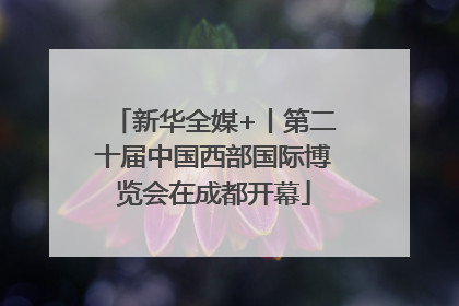 新华全媒+丨第二十届中国西部国际博览会在成都开幕