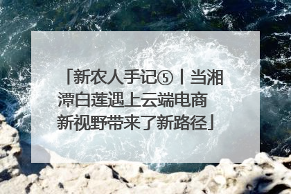 新农人手记⑤丨当湘潭白莲遇上云端电商 新视野带来了新路径